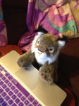 My lynx plushy seated at my laptop.