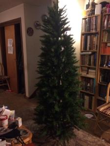 Our undecorated artificial tree.