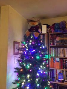 Tree with more lights on it.