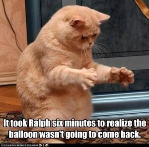 Surprised-Cat-Popped-Balloon