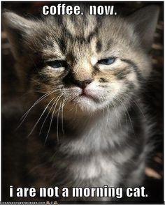 0d9f6b71f2a3c016dea7249cd6b94707