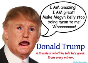 BettyBowers.com sums up The Donald. (Click to embiggen)