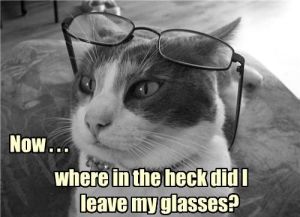 "Now, where in the heck did I leave my glasses?" This is a frightening accurate representation of the author.