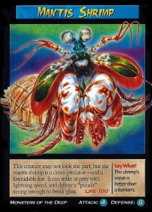 “This creature may not look the part, but the mantis shrimp is a clever predator—and a formidable foe. It can strike at prey with lightning speed, and deliver a punch strong enough to break glass.”
