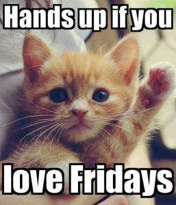 “Hands up if you love Fridays.”