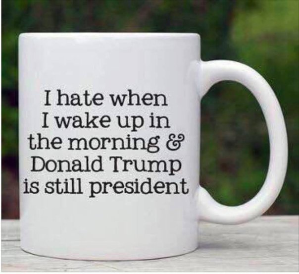 “I hate when I wake up in the morning & Donald Trump is still president”