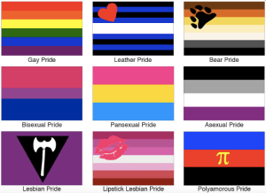 Many groups within the community have felt that the rainbow didn't explicitly include them, and have opted for other flags to use either instead of the rainbow or along side it.