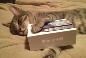 This is not a photo of me with my very first iPhone... it isn't, really, but...