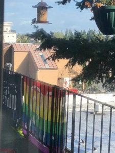 Trying not to scare the birds away by taking a picture from the further window.