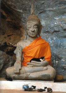 There was a tumblr post going around where someone collected pictures of cats sleeping on Buddhas...