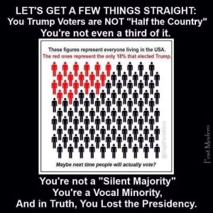 “Let's get a few things straight: You Trump voters are NOT 'half the country.' You're not even a third of it. You're not a 'Silent Majority.' You're a Vocal Minority, and in truth, you lost the Presidency.”