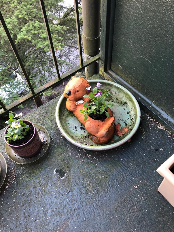 The otter can still hold a flower, despite the breaks!