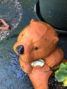 Our poor otter planter cracked and had large chunks of terra cotta break off.