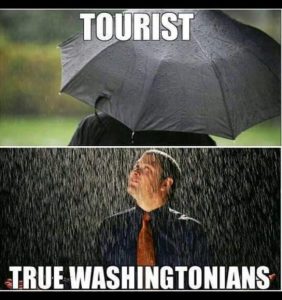 Picture of a person under an umbrella in heavy rain, labeled Tourists. Below, a man stands in the rain, head tilted up, eyes closed, labeled True Washingtonians.