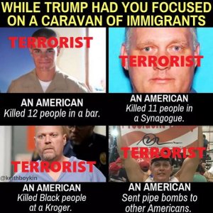 Straight, male, (mostly) white, trump-supporting Americans are committing all the domestic terrorism...