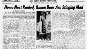 The New York Daily News, a bit over a week after the first riot.