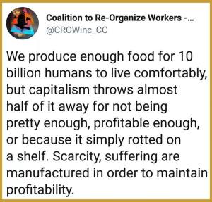 “We produce enough food for 10 billion humans to live comfortably, but capitalism throws almost half of it away for not being pretty enough, profitable enough, or because it simply rotted on a shelf. Scarcity, suffering are manufactured in order to maintain profitability.”