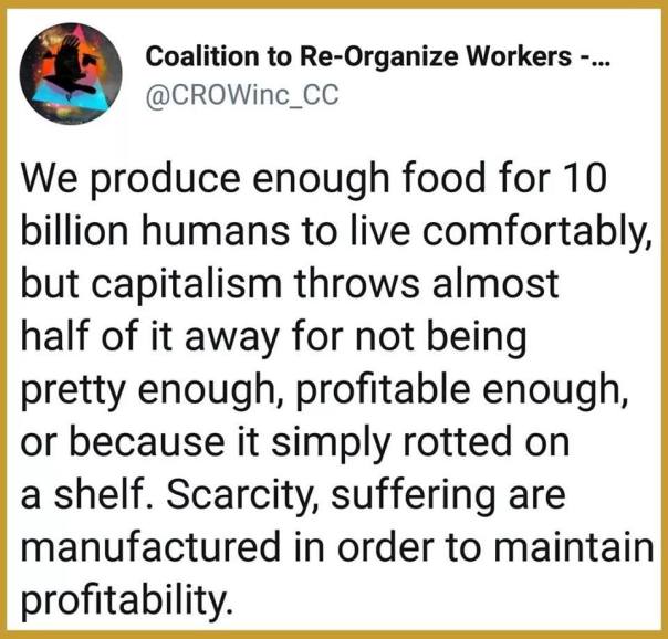“we produce enough food for 10 billion humans to live comfortably but capitalism throws almost half of it away for not being pretty enough, profitable enough, or simply because it rotted on the shelf. Scarcity, suffeering are manufactured in order to maintain profitability.”