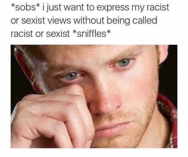 “*sobs* I just want to express my racist and sexist views without being called racist of sexist! *sniffle*”