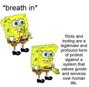 “Riots and looting are a legitimate and profound form of protest against a system that values goods and services over human life.”