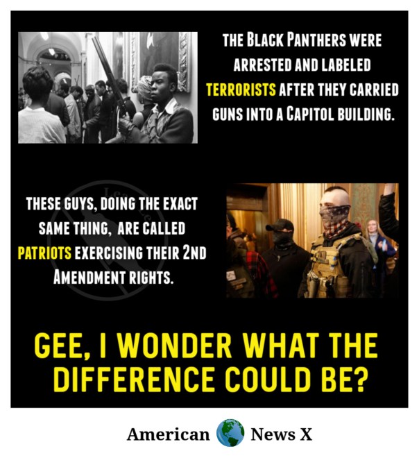 “The Black Panthers were arrested and labeled terrorists after they carried guns into a capitol building. These guys, doing the exact same thing, are called patriots exercising their 2nd Amendment rights. Gee, I wonder what the difference could be?”
