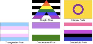 Many, many more variants and alternatives to the rainbow flag.