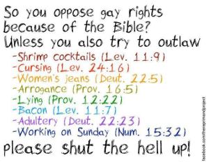 “So you oppose gay rights because of the Bible? Unless you also try to outlaw: Shrimp cocktail (Lev 11:9), Cursing (Lev 24:16), Women's jeans (Deut 22:5), Lying (Prov 12:22), Bacon (Lev 11:7), Adultery (Deut 22:23), Working on Sunday (Num 15:32) Please shut the hell up!”