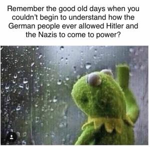 Kermit the Frog looks pensively out a rain-spattered window. “Remember the good old days when you couldn't begin to understand how the German people ever allowed Hitler and the Nazis to come to power?”