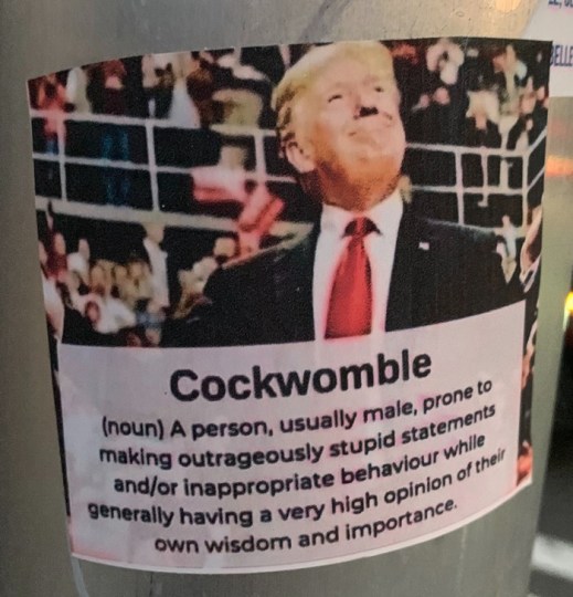 A picture of Trump with the explanatory text “Cockwomble (noun) A person, usually male, prone to making outrageously stupid statements and/or inappropriate behaviour while generally having a very high opinion of their own wisdom and importance.”