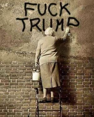 Elderly woman on a latter paints, “Fuck Trump” 