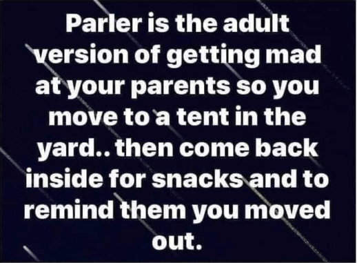 “Parler is the adult version of getting mad at your parents so you move to a tent in the yard... then come back inside for snacks and t remind them you moved out.”