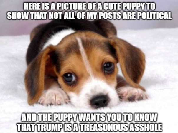 “Here is a picture of a cute puppy to show that not all of my posts are political. And the puppy wants you to know that Trump is a treasonous asshole.”
