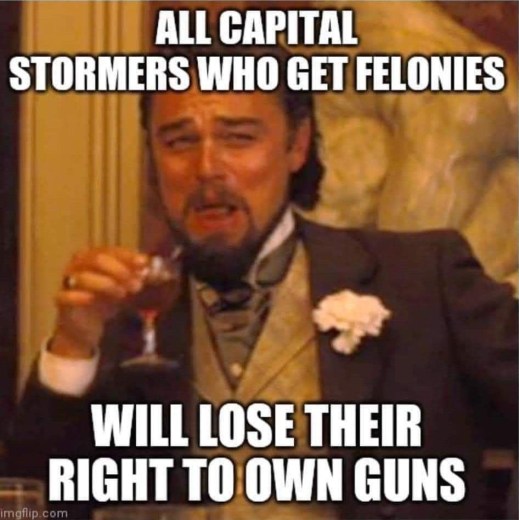 “All Capitol stormers who get felonies will lose their right to own guns.”